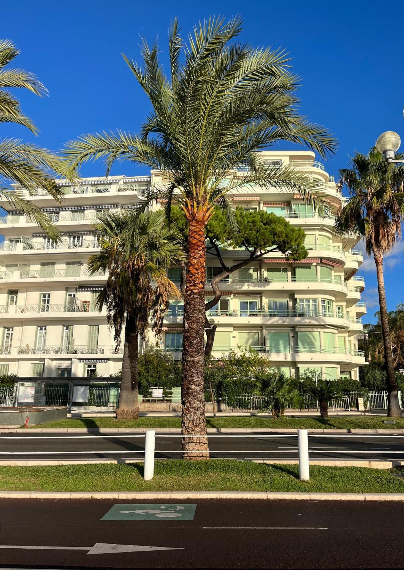 Nice 115 By The Sea Buitenkant foto
